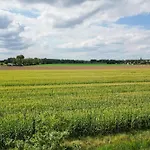 Holiday home 6 - Persoons De Vlaamse Reus 195 *