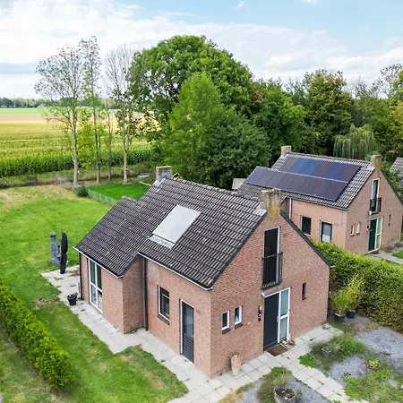 6 - Persoons De Vlaamse Reus 195 *