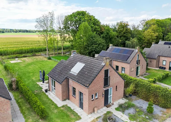 6 - Persoons De Vlaamse Reus 195 *