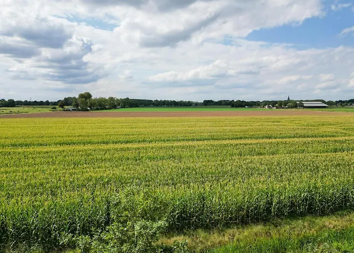Semesterbostad 6 - Persoons De Vlaamse Reus 195 *